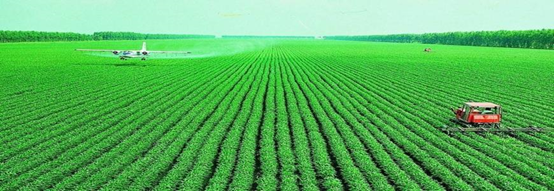 糧食種植新建實驗室檢測項目及儀器方案 糧食種植新建實驗室檢測項目及儀器方案