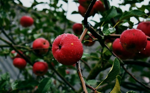 1647238877501295.png image.png