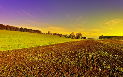 1653966295460681.png image.png