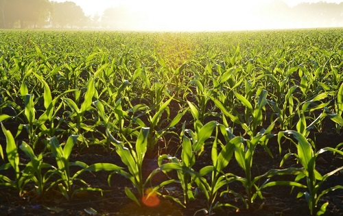 1655953882134607.png image.png