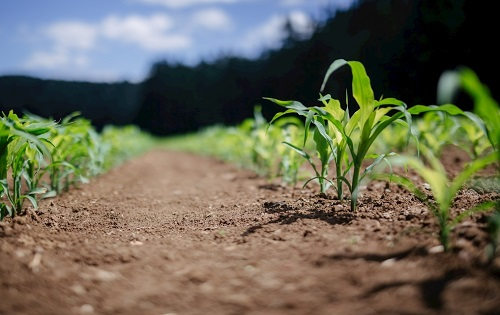 1662435073193649.png image.png