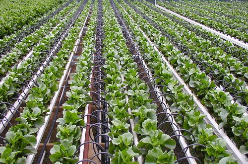 1663827217213683.png image.png