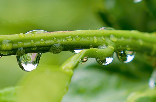 1664170478102897.png image.png