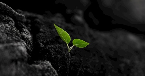 1675317943180059.png image.png