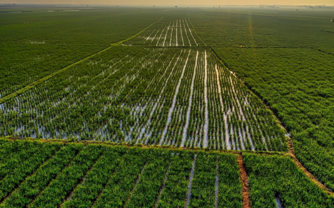 1679462946293911.png 1679462946293911.png