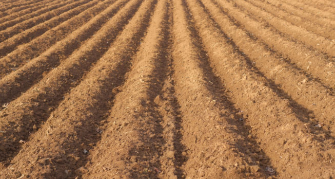 �����B(y��ng)�֙z�y�x�ęz�yԭ��