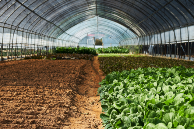 �����y���x��