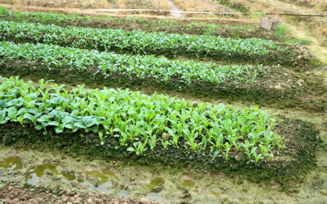 �����B(y��ng)���ٜy�x