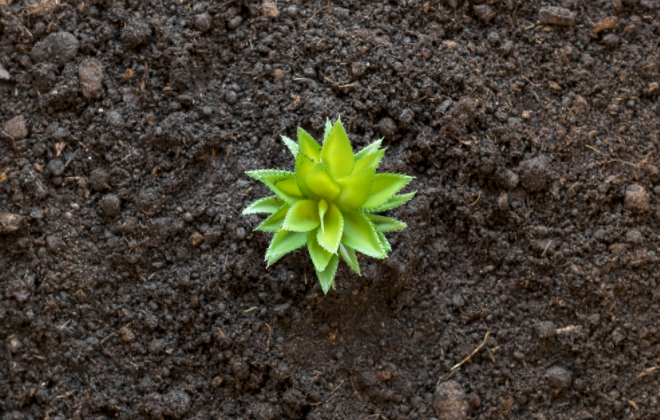 ����΢��Ԫ�؜y���x