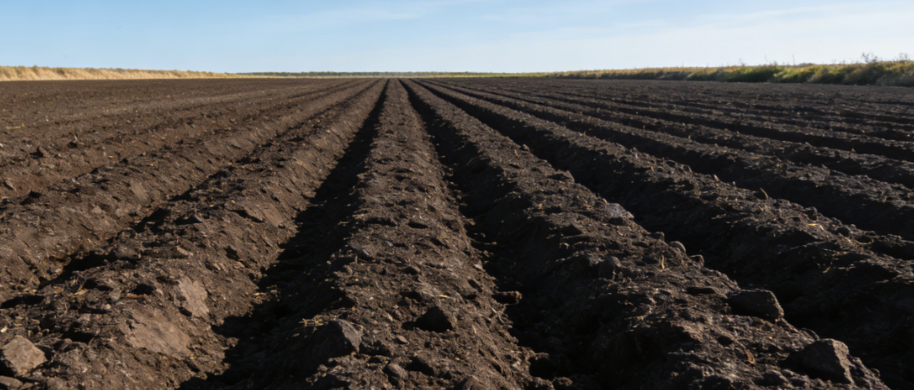 LD-TL100�����F�������x�������E:���g�y������Aָ��